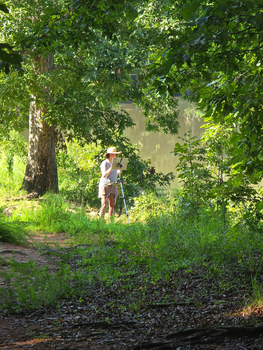 Anne Springs Lake Haigler