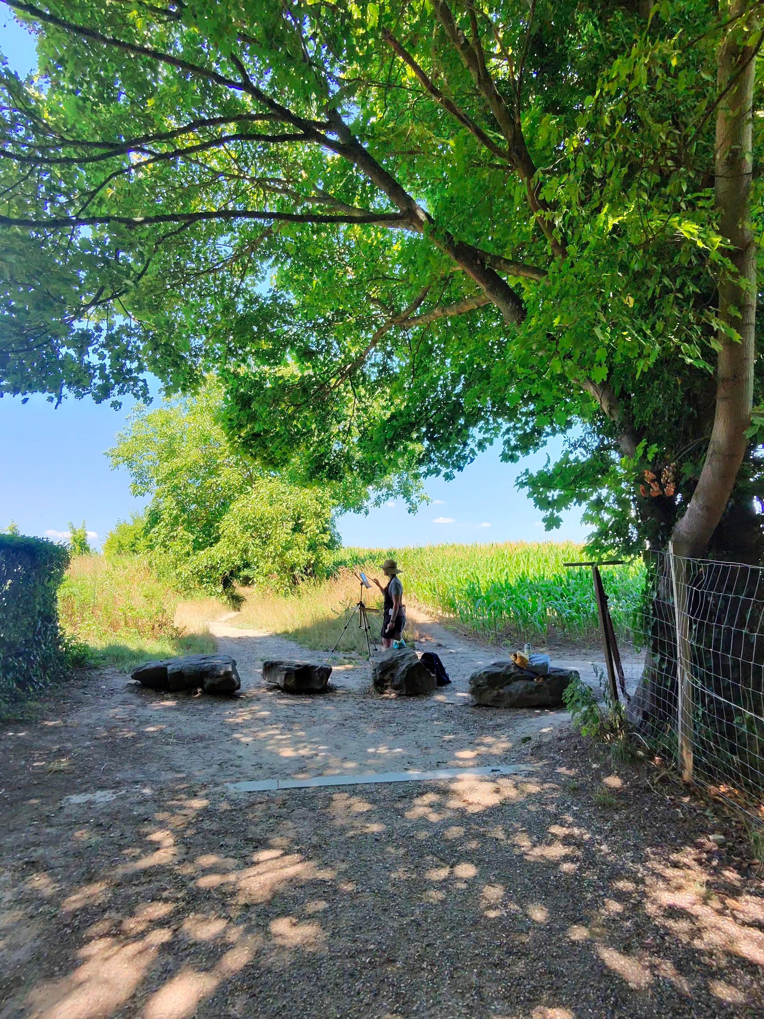 Walking with Vincent