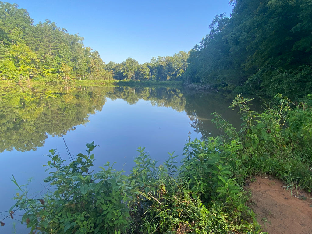 Anne Springs Lake Haigler