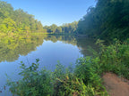 Anne Springs Lake Haigler