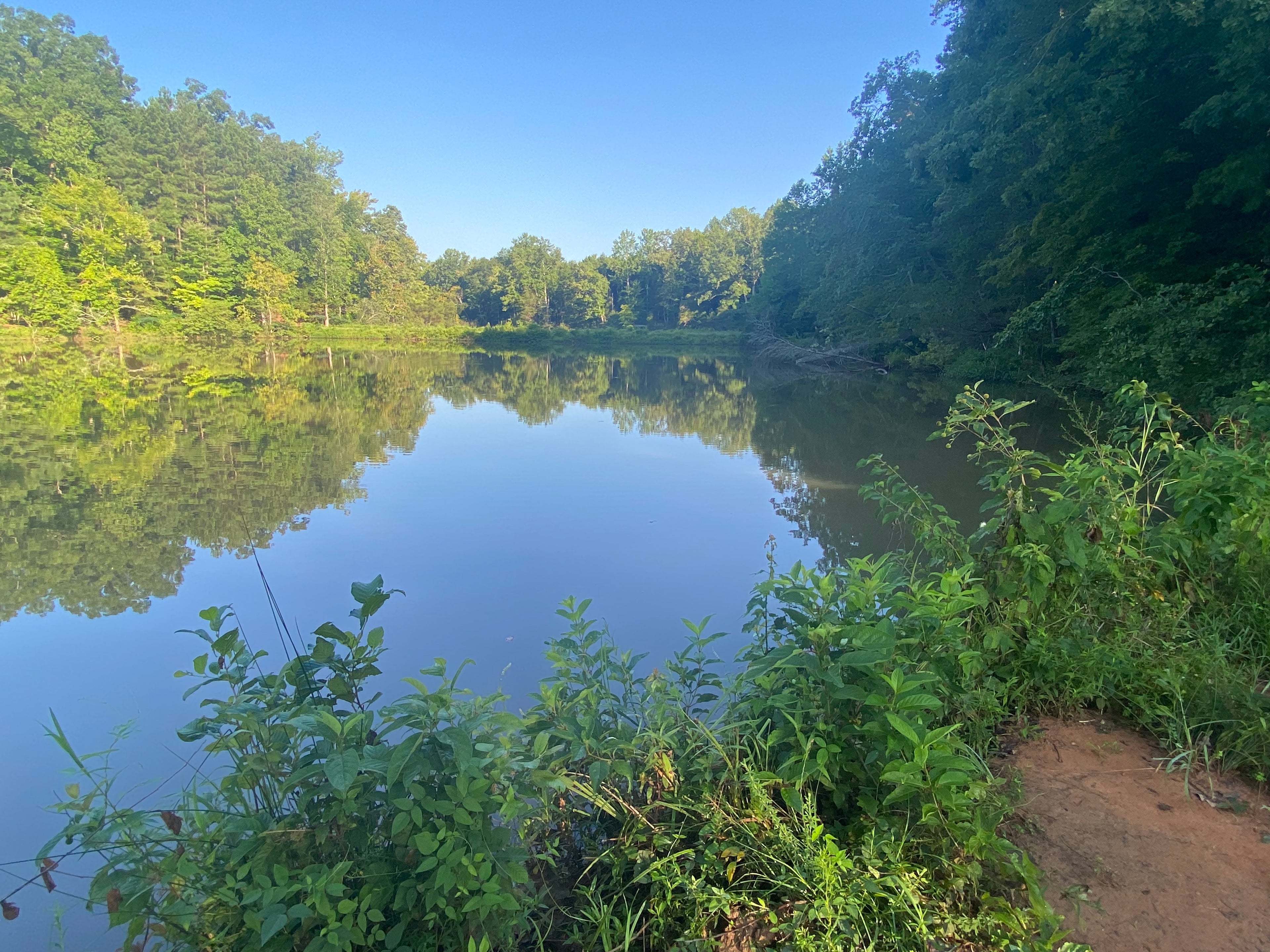 Anne Springs Lake Haigler