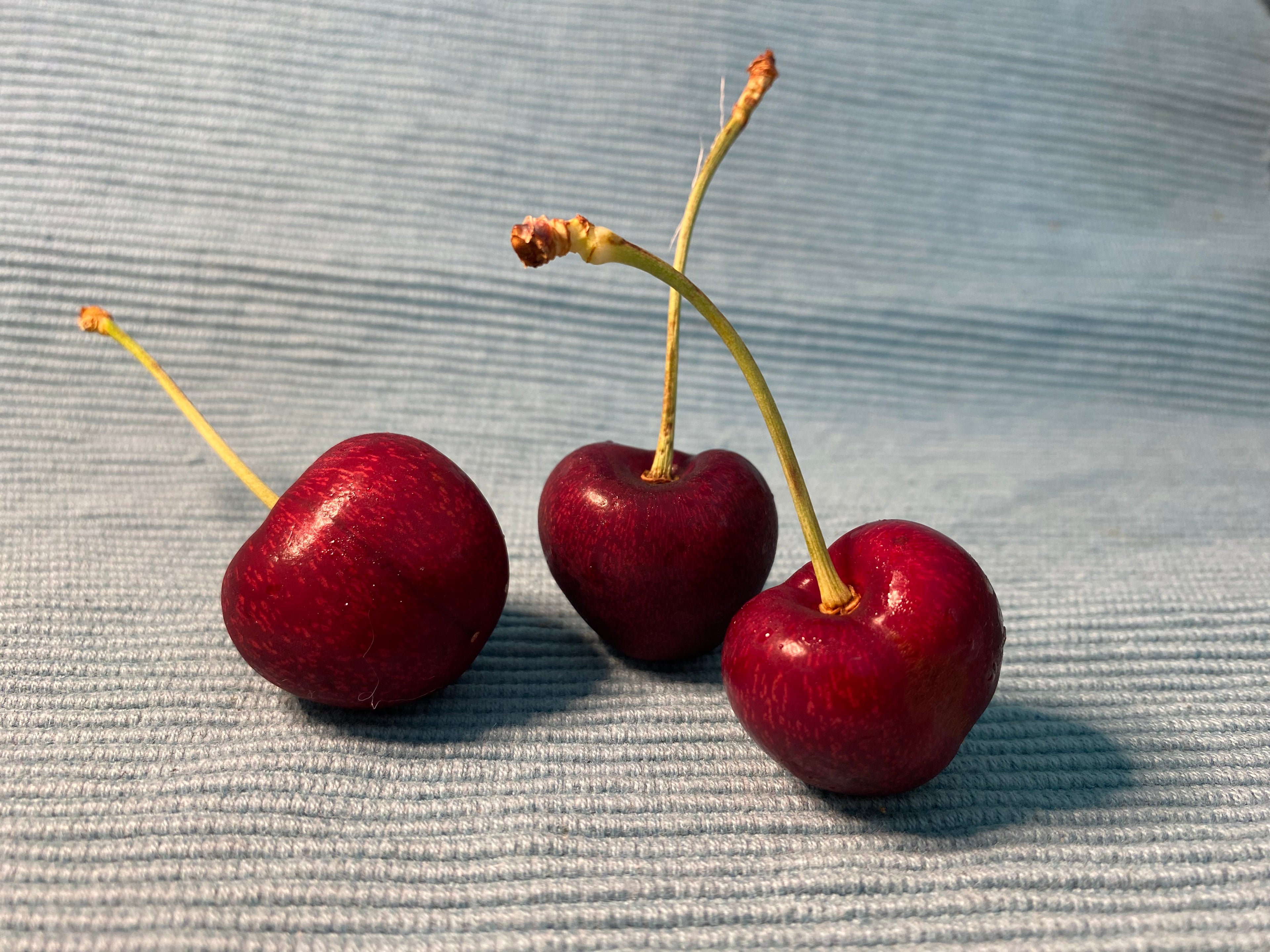 Trio of Cherries