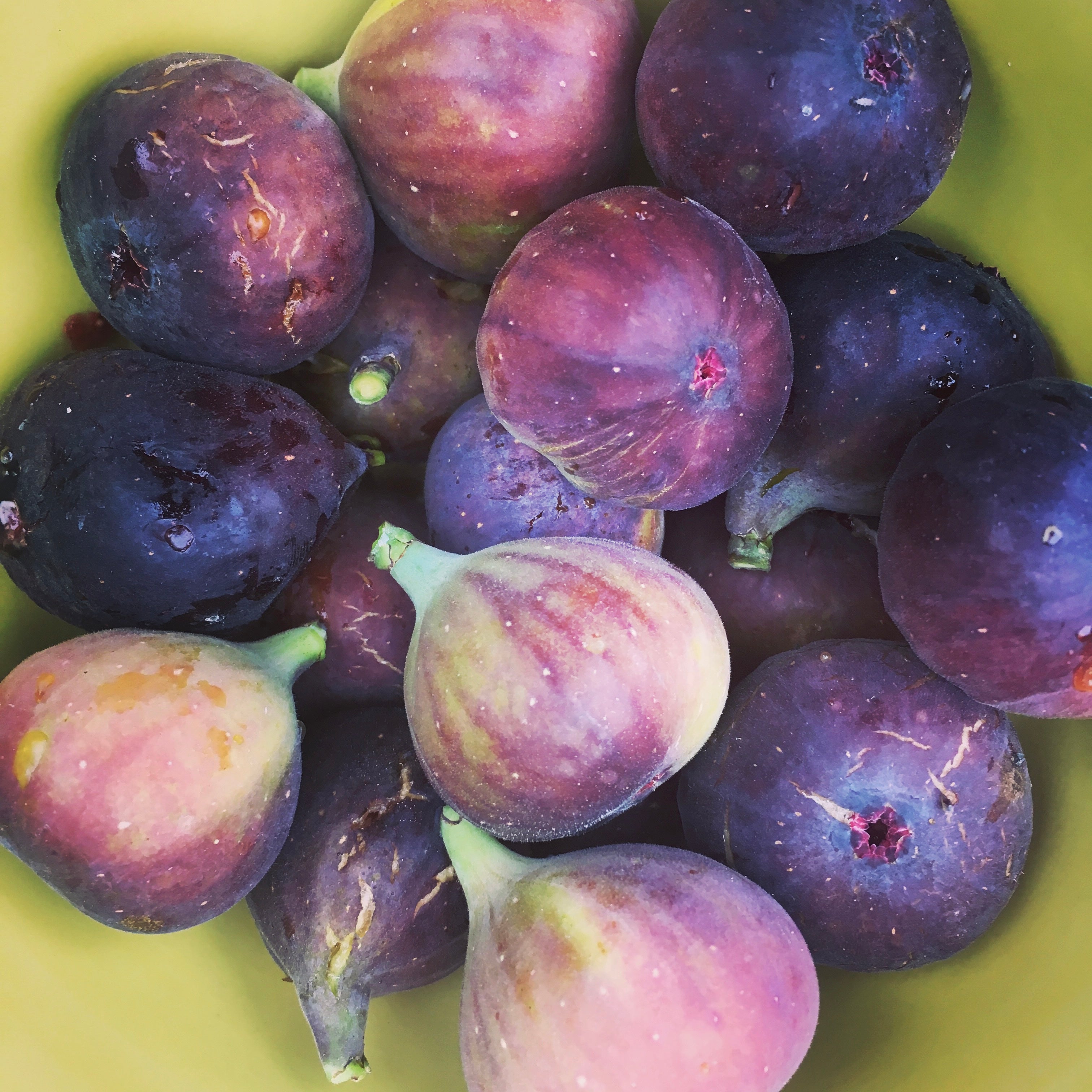 Fresh Figs