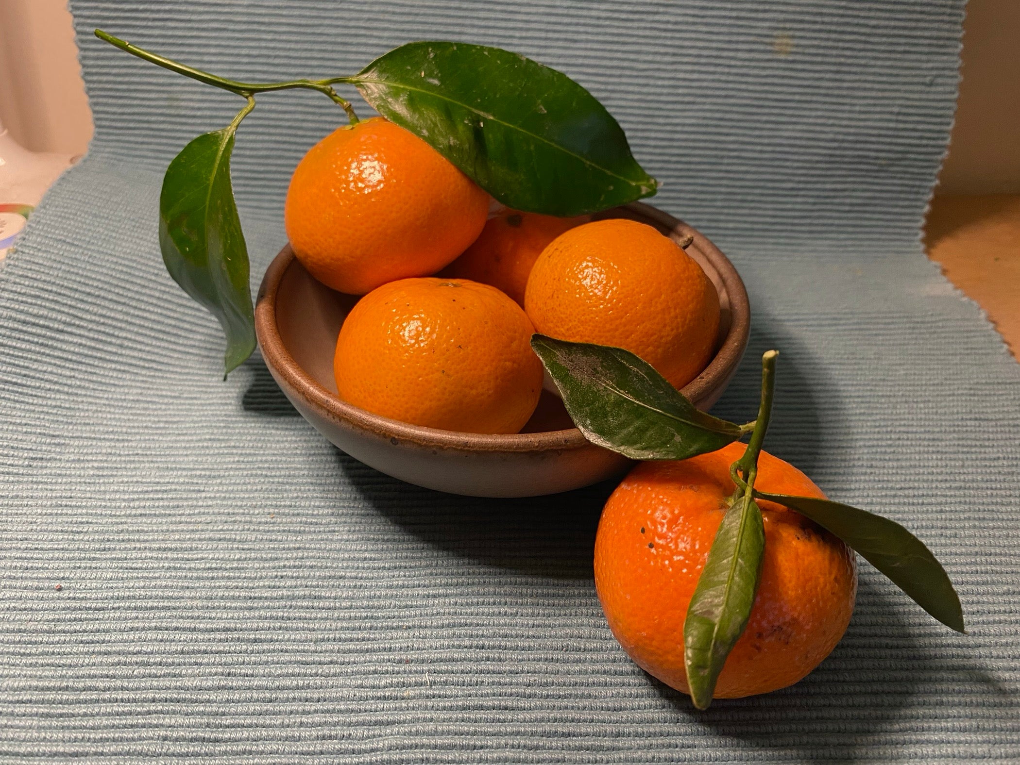 Valencia Oranges