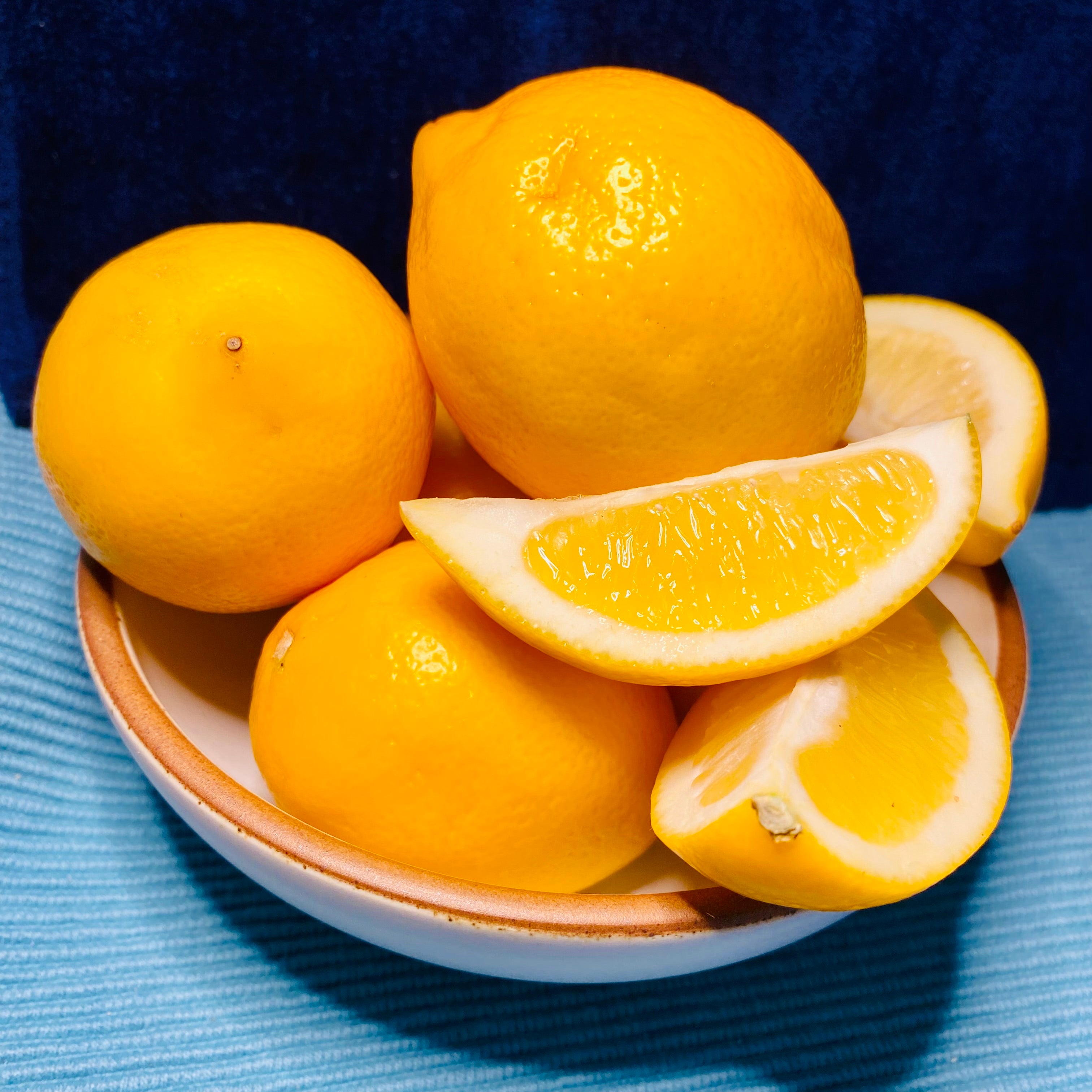 Meyer Lemons in a Bowl