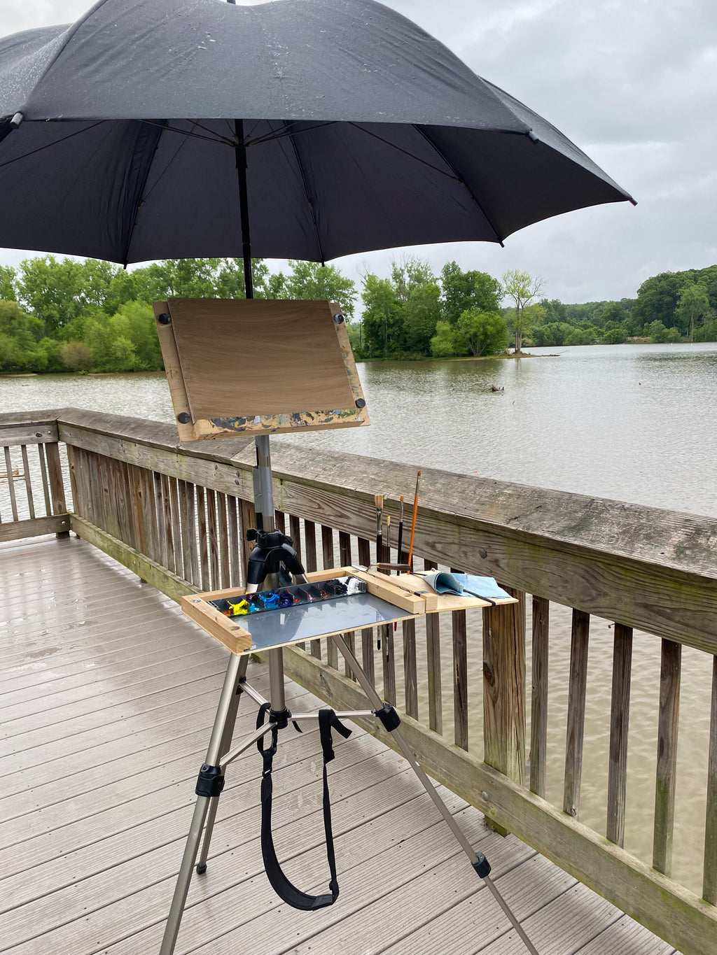 Catawba River View