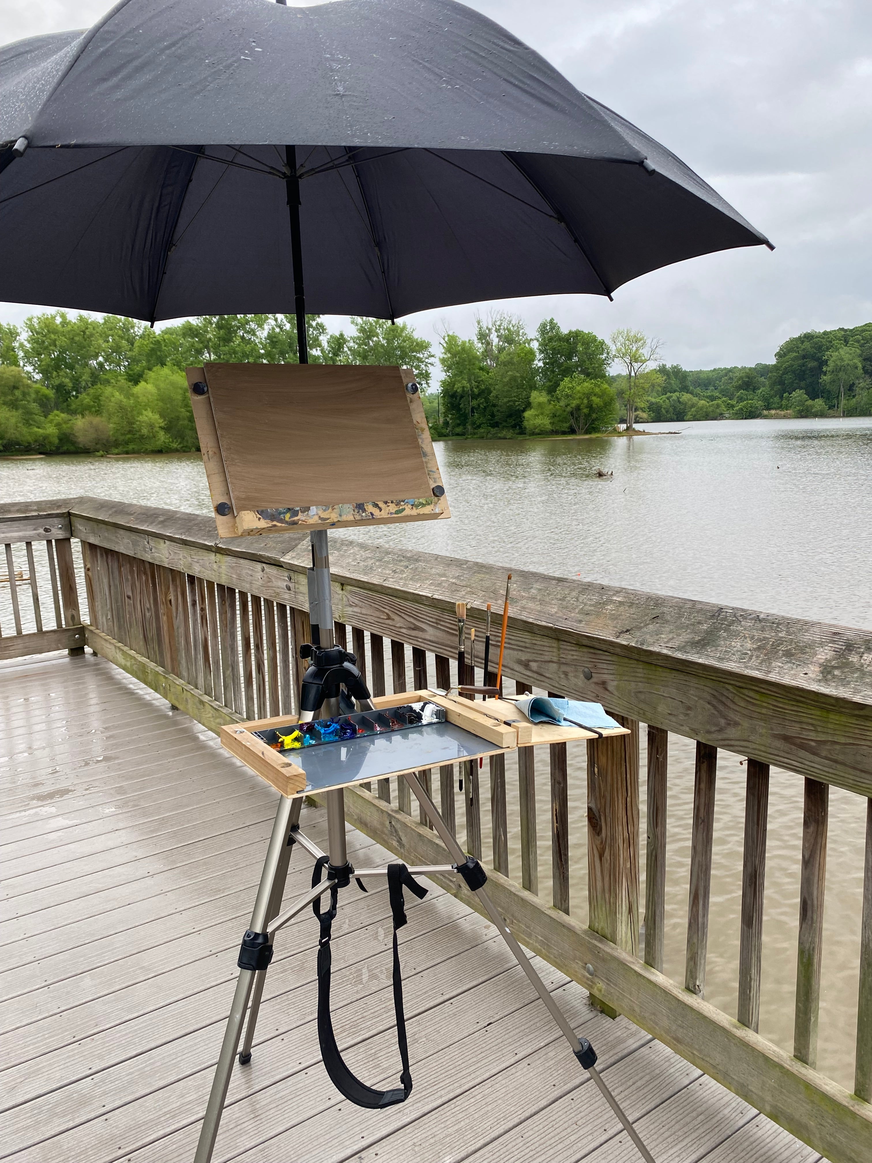 Catawba River View