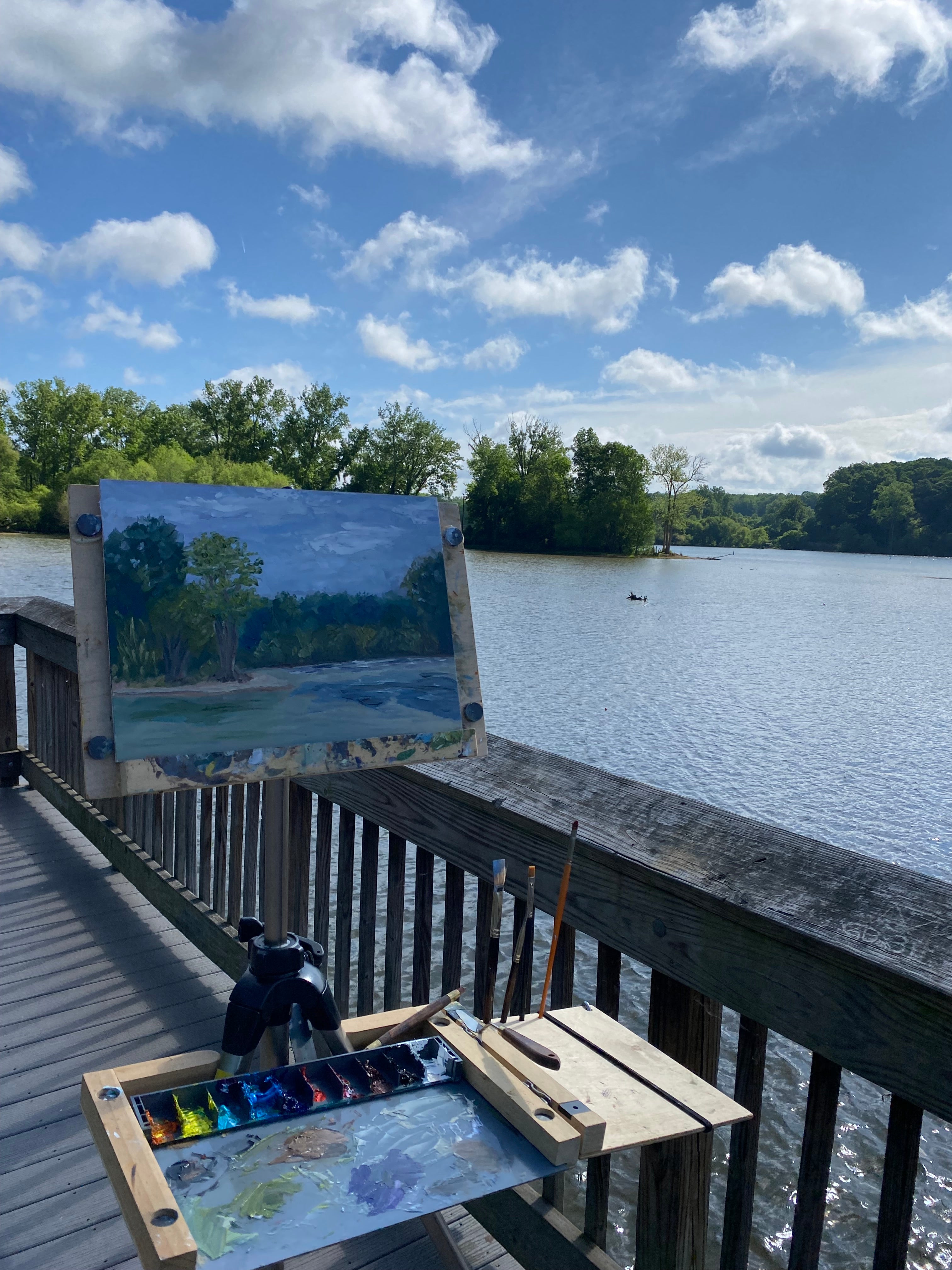 Catawba River View