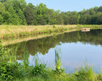 Beatty Park Pond