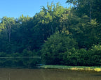 Poston Lake 1