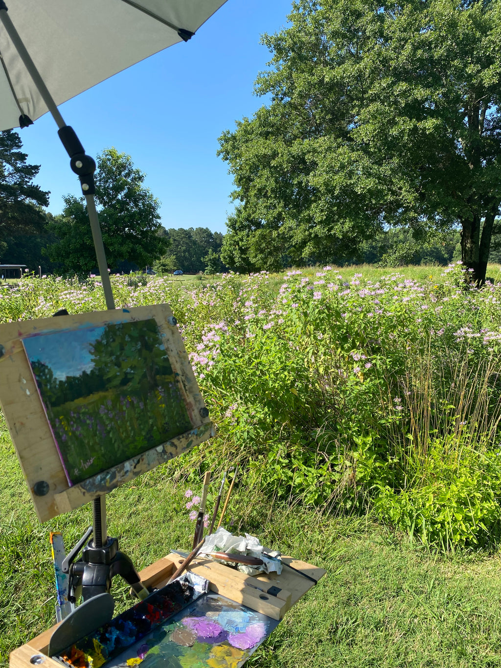 Anne Springs Wildflowers