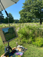 Anne Springs Wildflowers