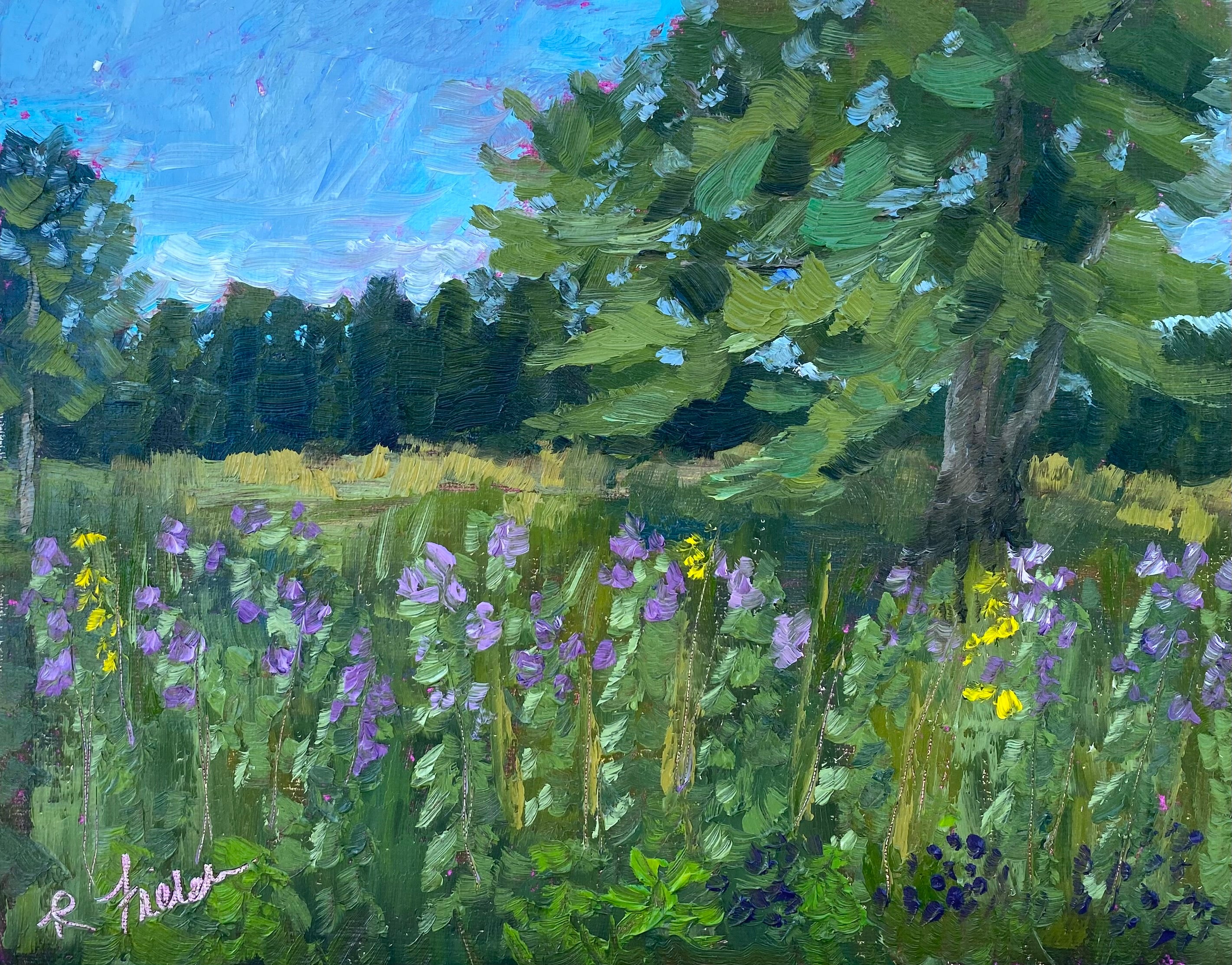Anne Springs Wildflowers