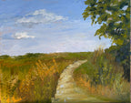 Walking with Vincent