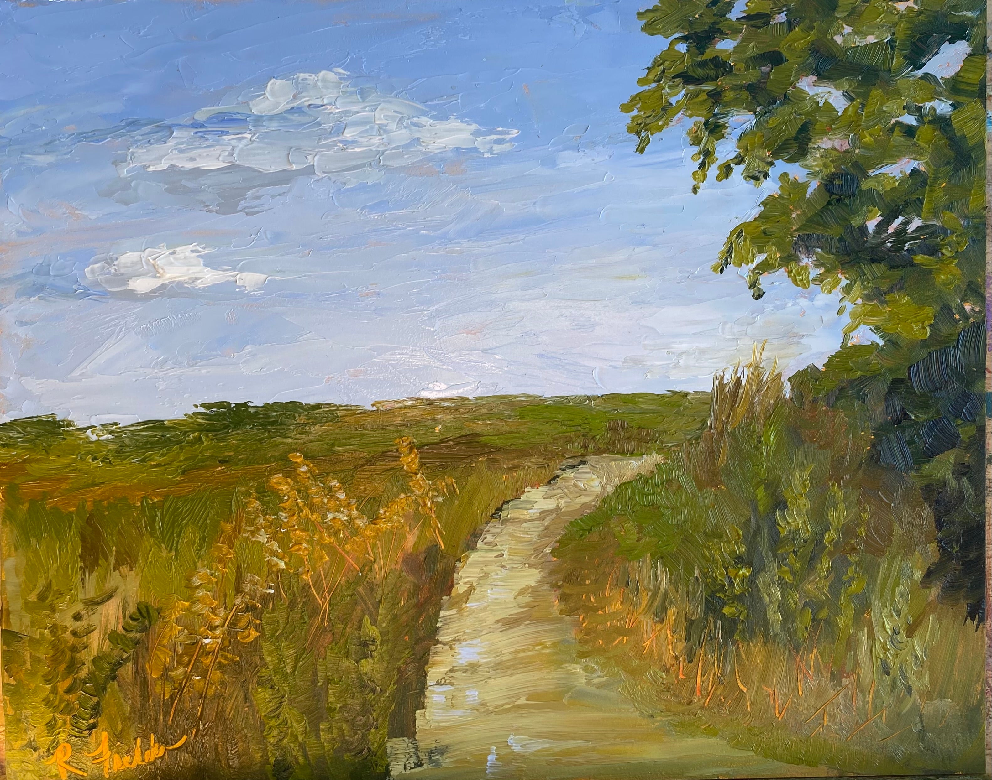Walking with Vincent