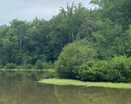 Poston Lake 3