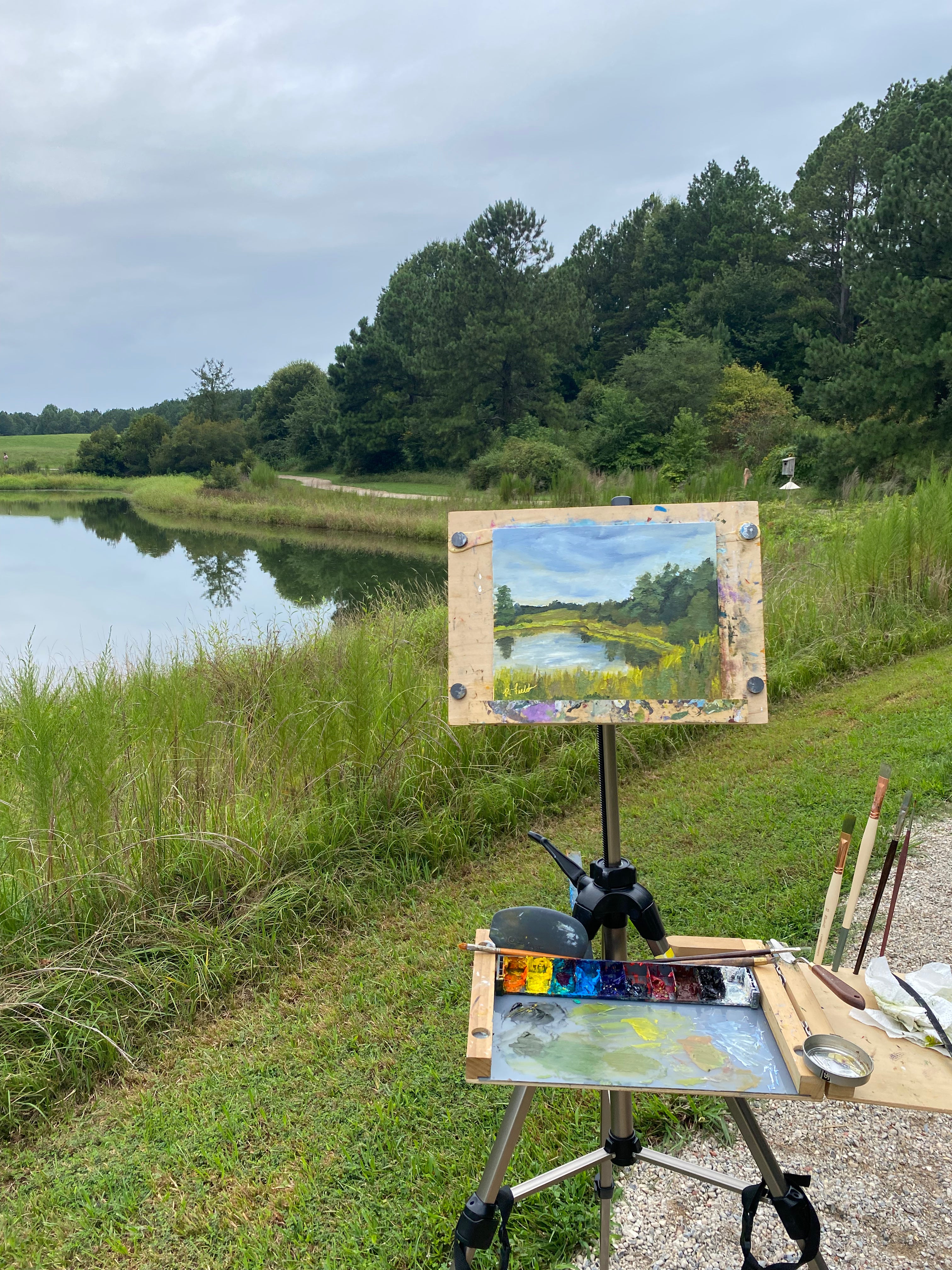 Daniel Stowe Pond