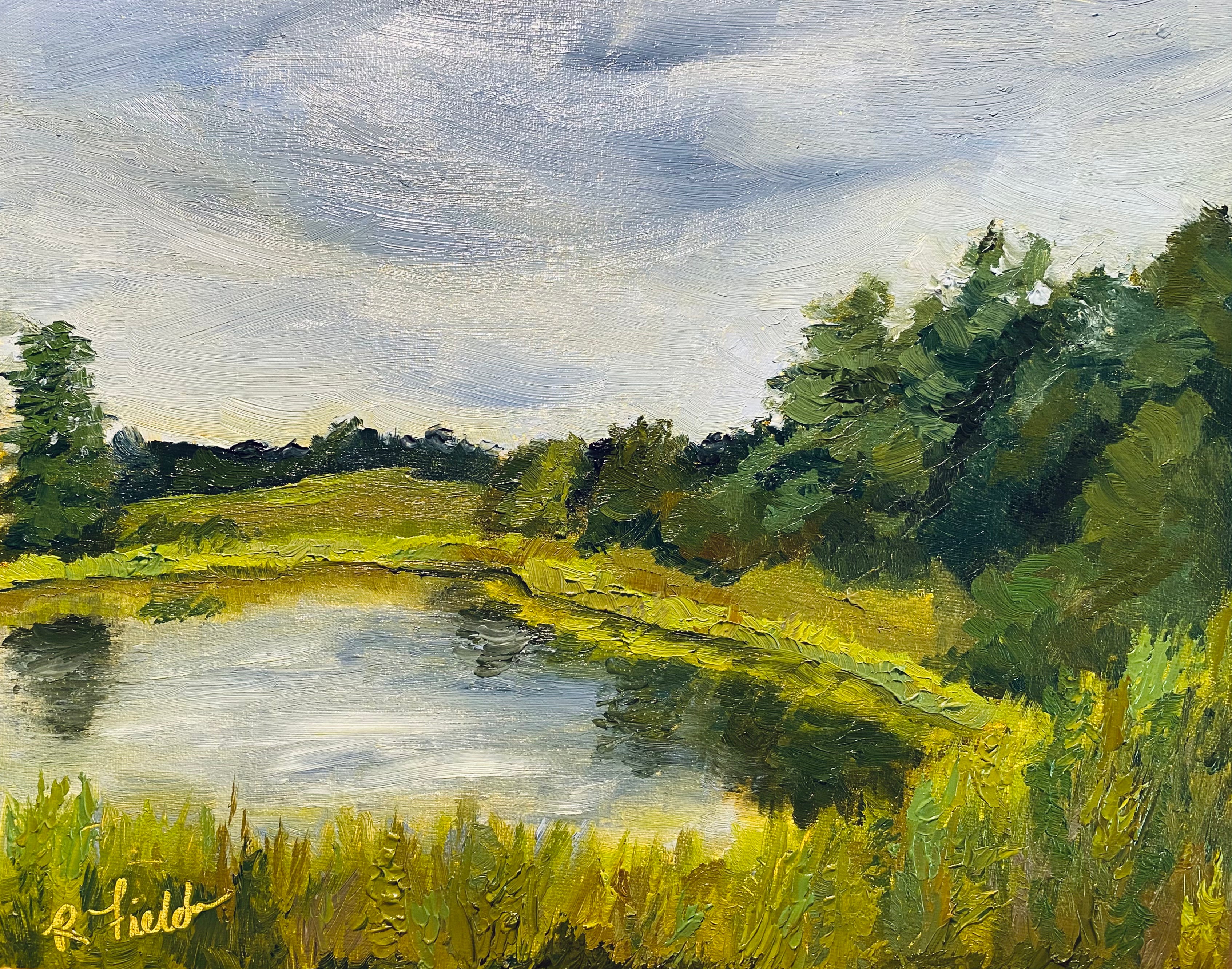 Daniel Stowe Pond