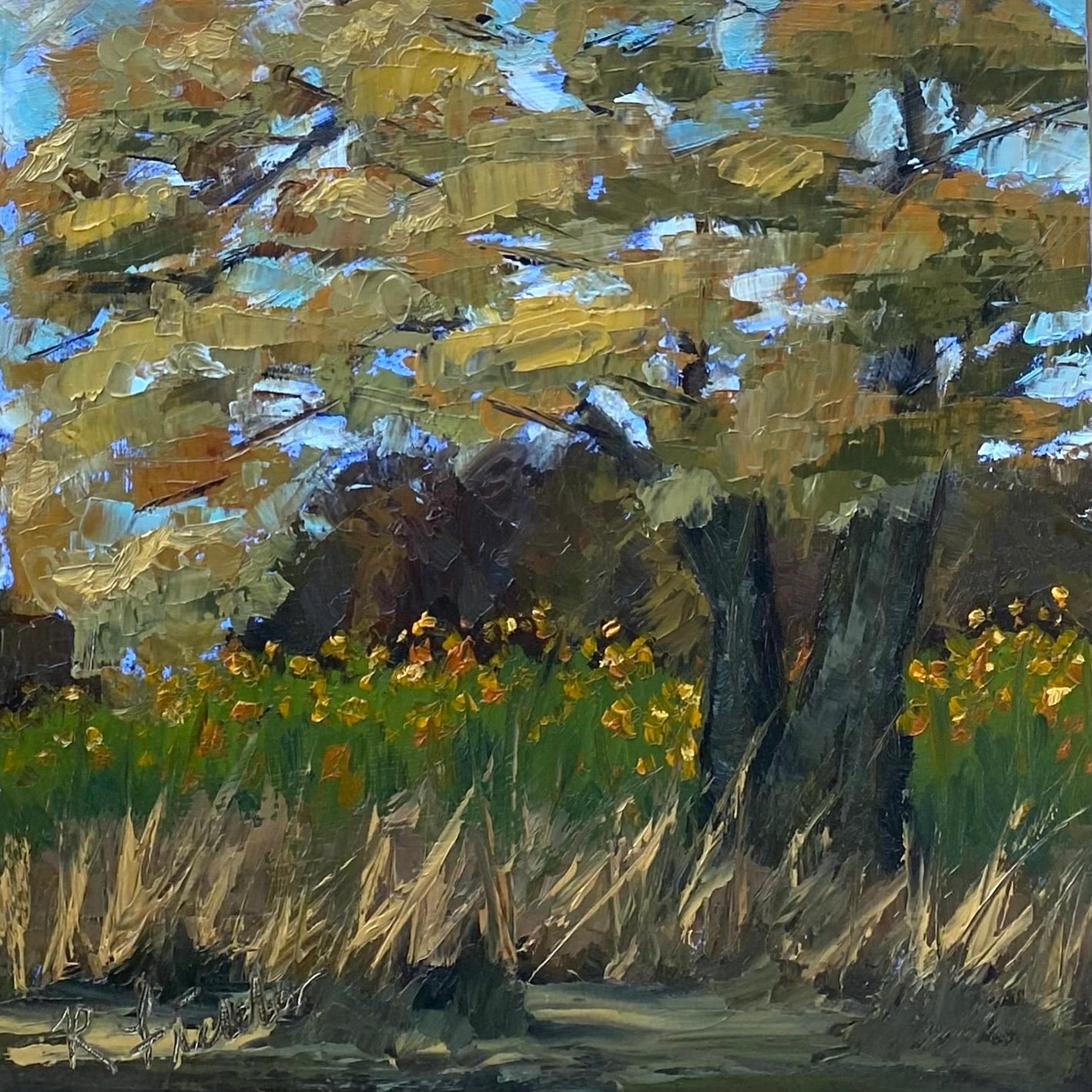 Autumn Oak at Anne Springs