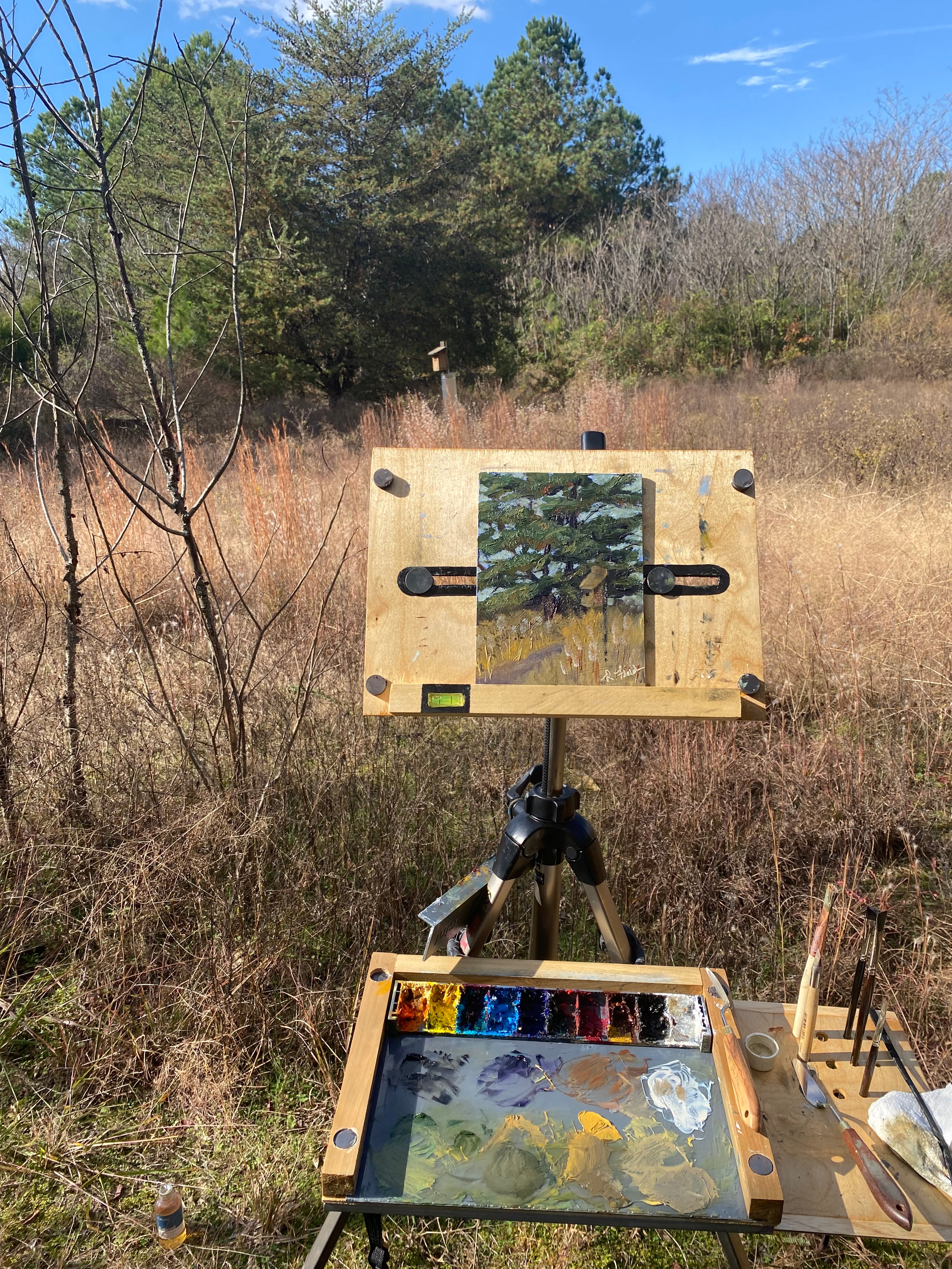 Kings Mountain Birdhouse