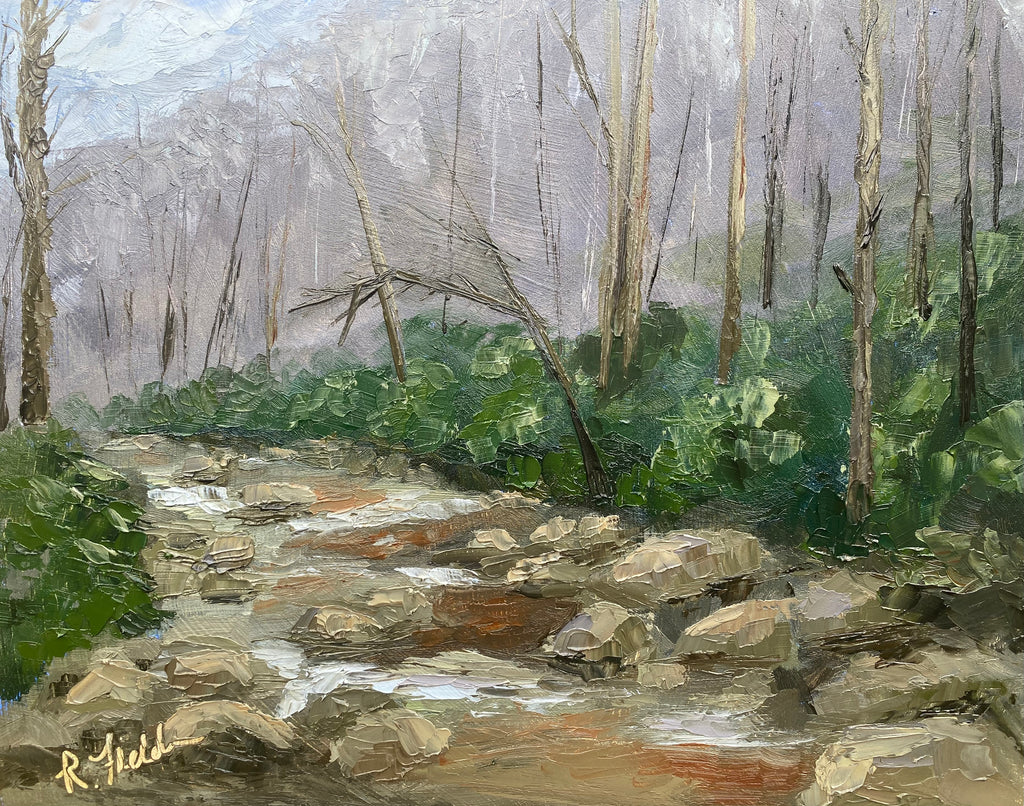 Winter Solstice at South Mountains