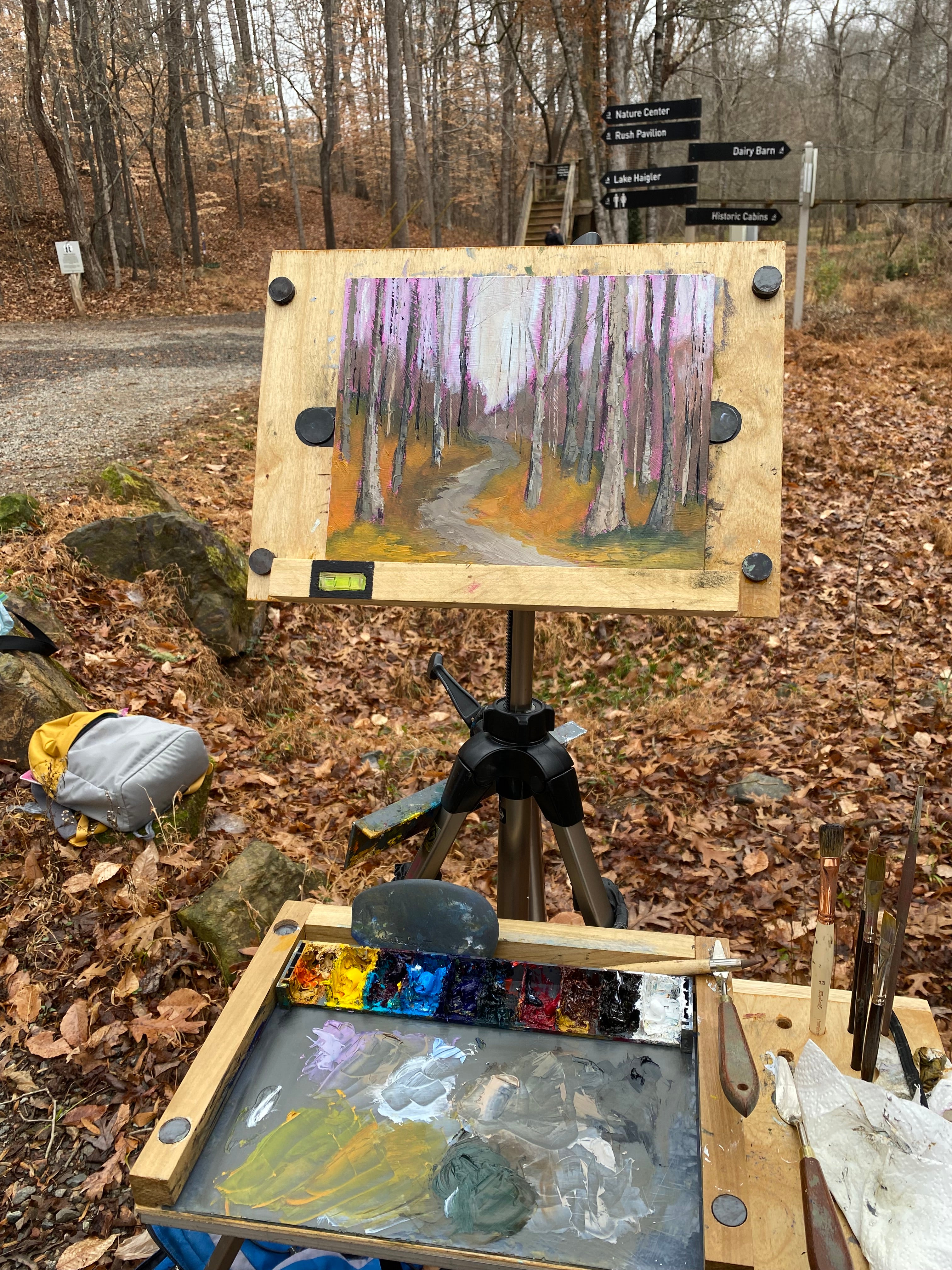 Forest path at Anne Springs Close Greenway