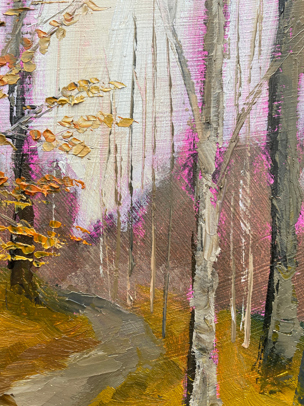 Forest path at Anne Springs Close Greenway