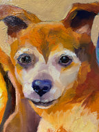 [SOLD] All-star Pack