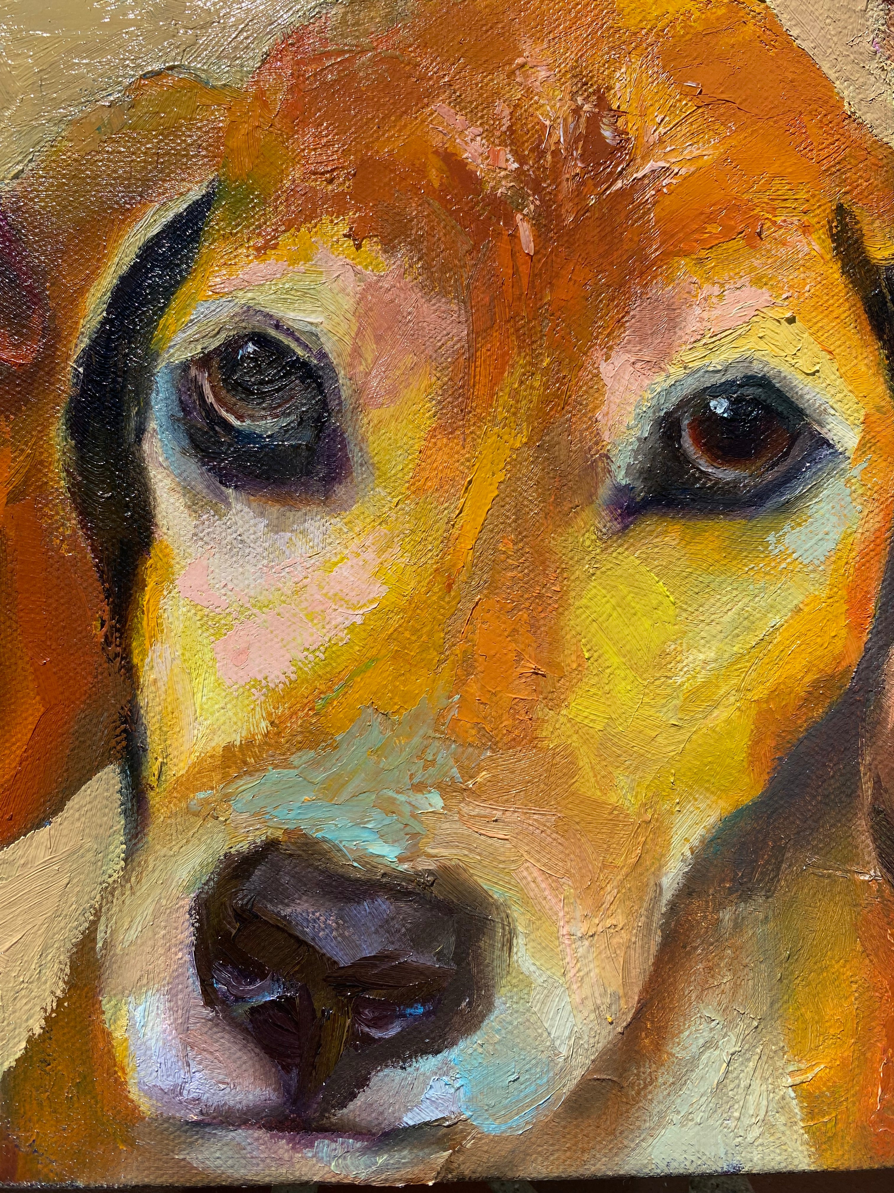 [SOLD] All-star Pack