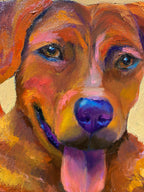 [SOLD] All-star Pack