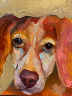 [SOLD] All-star Pack