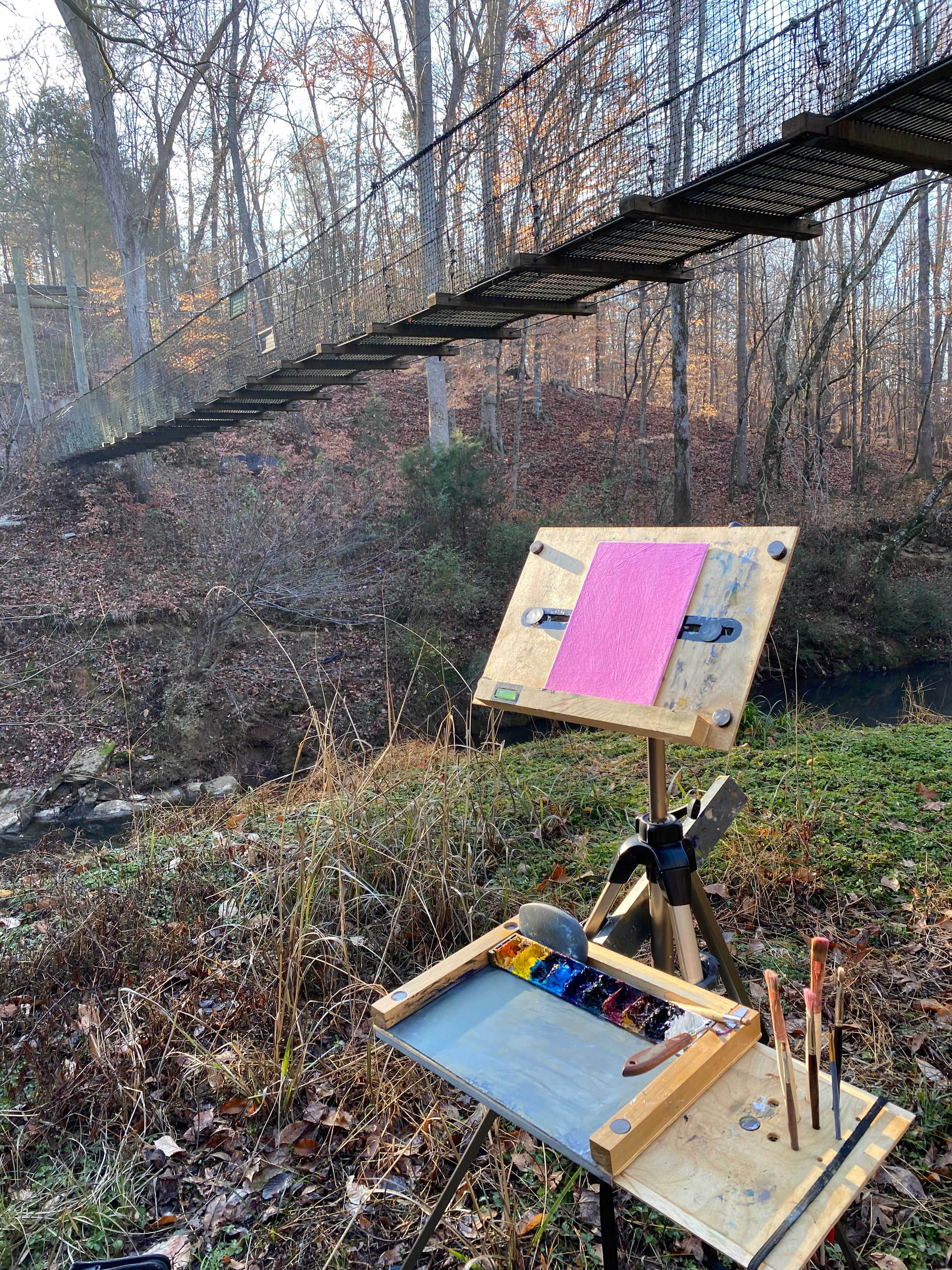Suspension Bridge at Nesbit Park