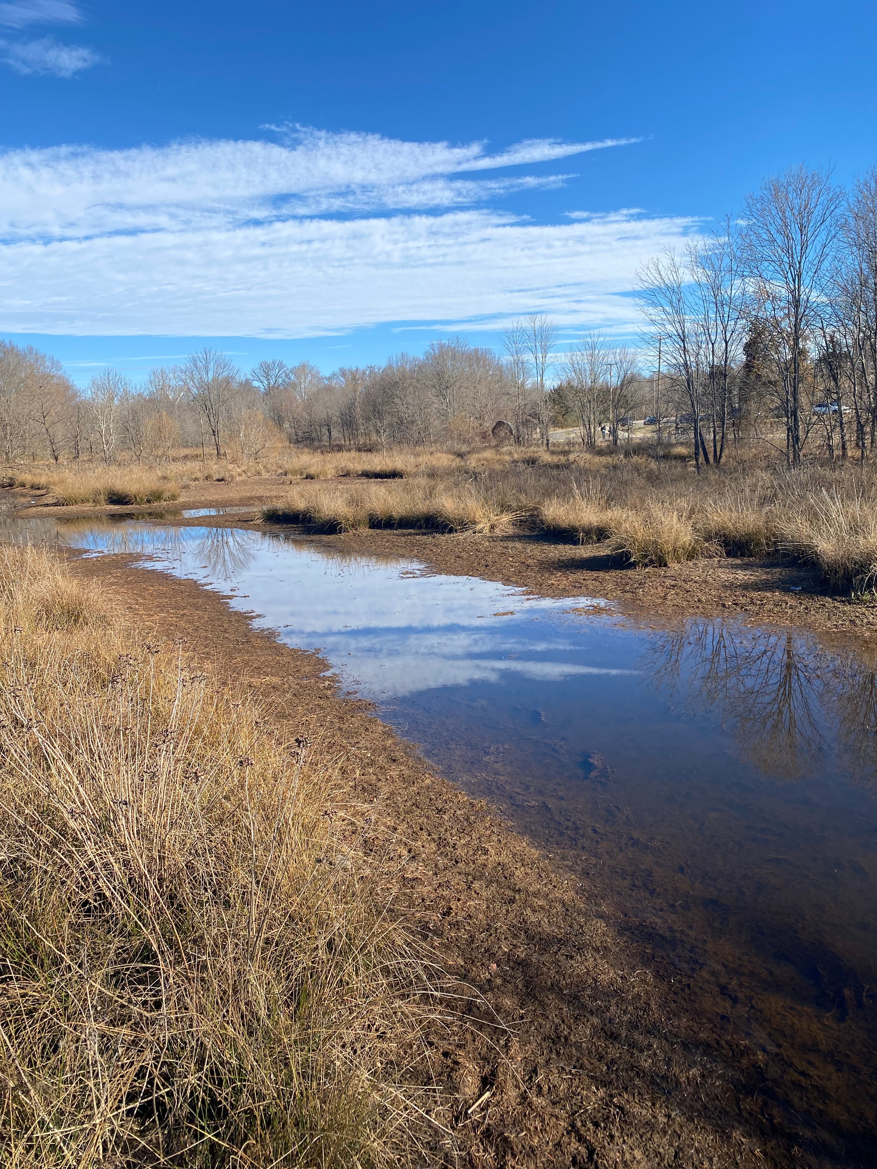 Marsh Park Pineville