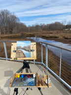 Marsh Park Pineville