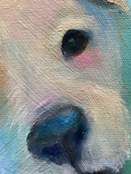 [SOLD] Bella