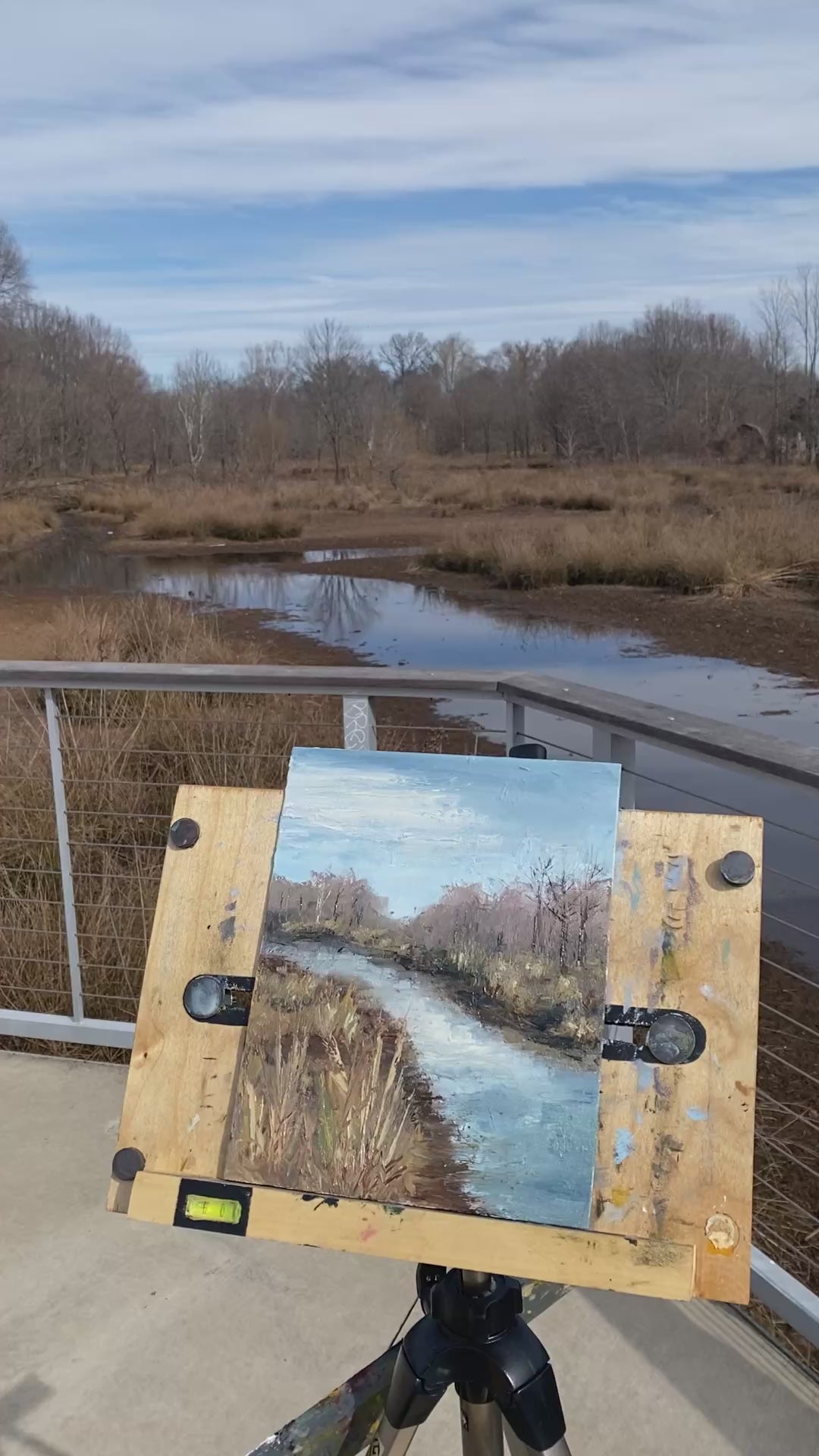 Marsh Park Pineville