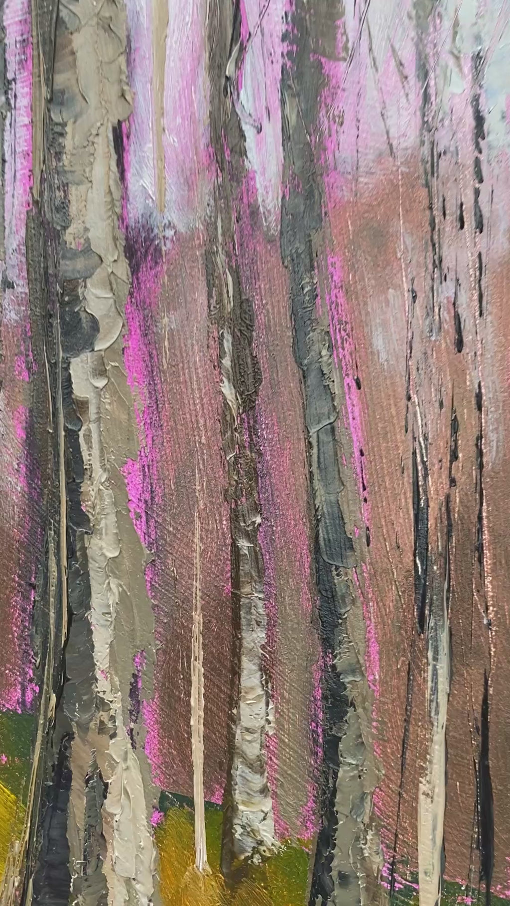 Forest path at Anne Springs Close Greenway